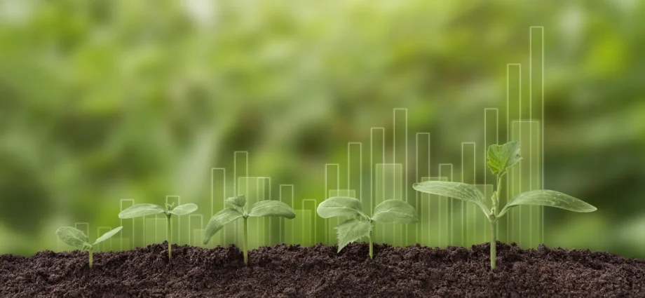 plants-can’t-absorb-as-much-co2-as-climate-models-predicted