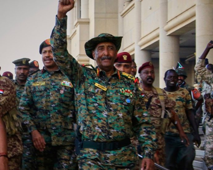 egypt-says-it-shares-‘identical’-views-with-saudi-arabia-on-yemen,-sudan