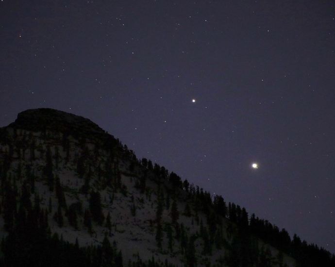 what’s-up:-january-2026-skywatching-tips-from-nasa