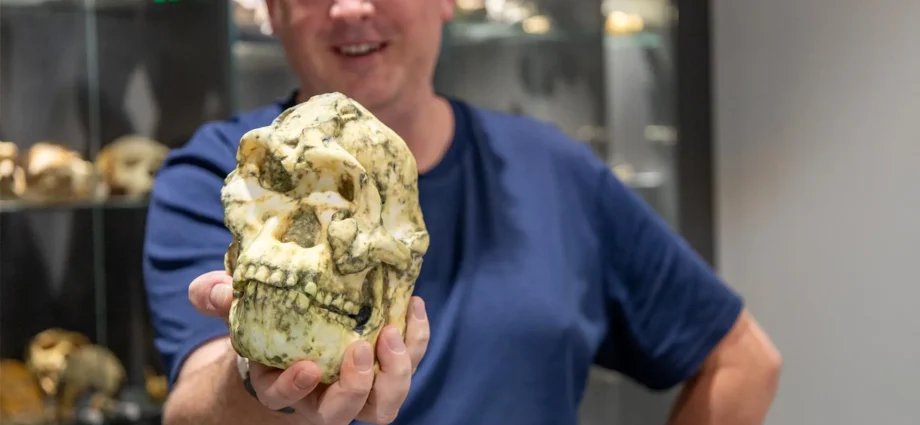 a-legendary-fossil-is-forcing-scientists-to-rethink-human-origins