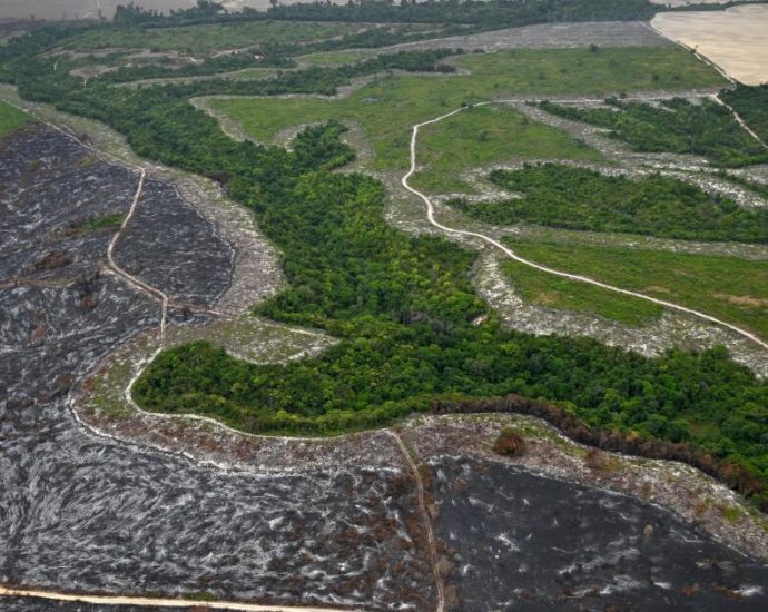 top-soybean-traders-exit-pact-that-protects-amazon-rainforests