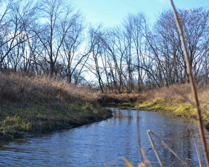 to-save-an-endangered-prairie-fish,-dried-up-iowa-wetlands-get-new-life