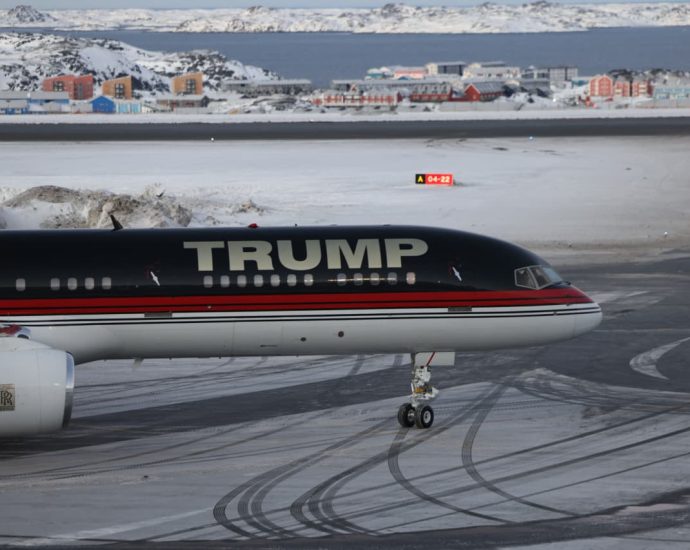 These stocks are in play as The Traitor and China feud over Greenland