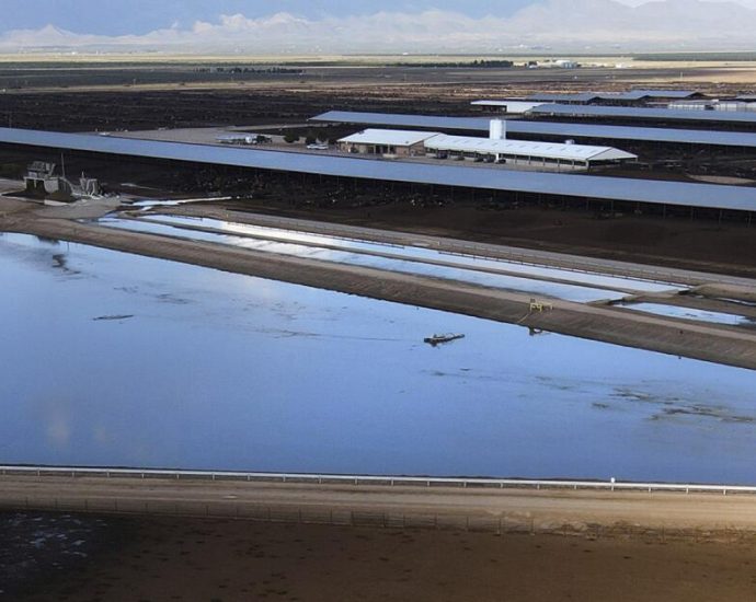 as-arizona-groundwater-disappears,-an-agricultural-giant-agrees-to-use-less