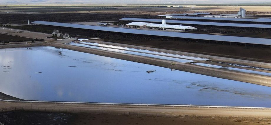 as-arizona-groundwater-disappears,-an-agricultural-giant-agrees-to-use-less