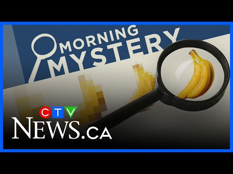 what-film-is-nominated-for-best-picture-at-the-golden-globes?-|-morning-mystery