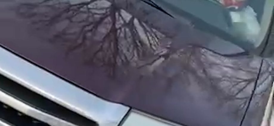 ice-officer’s-video-shows-moments-before-minn.-shooting