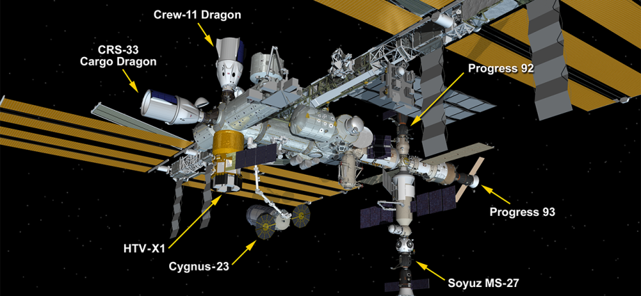 nasa,-spacex-set-target-date-for-crew-11’s-return-to-earth