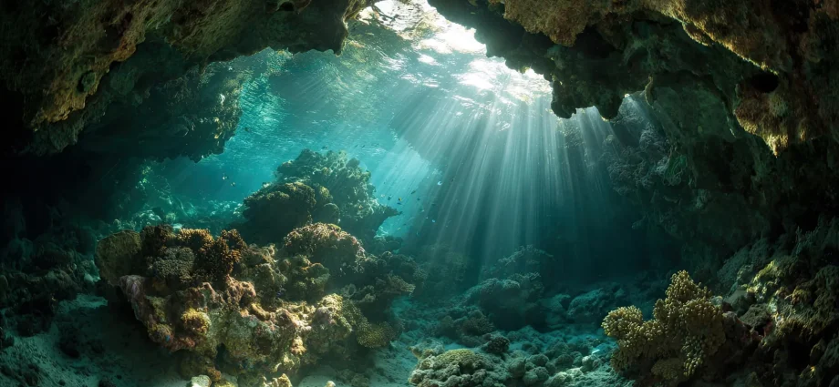 coral-reefs-have-a-hidden-daily-rhythm-scientists-just-discovered