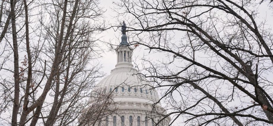 Congress debating possible consequences for ICE after Renee Good’s death