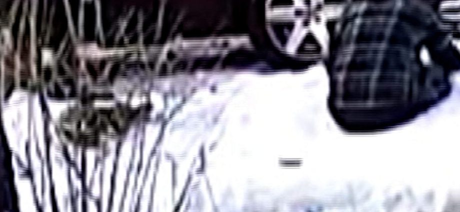 video-captures-renee-good’s-car-crashing-after-shooting