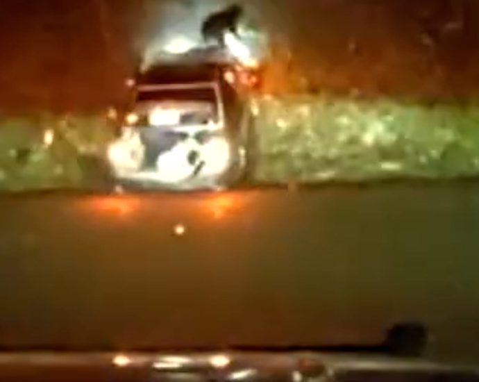 dog-flies-through-car-windshield-after-police-chase