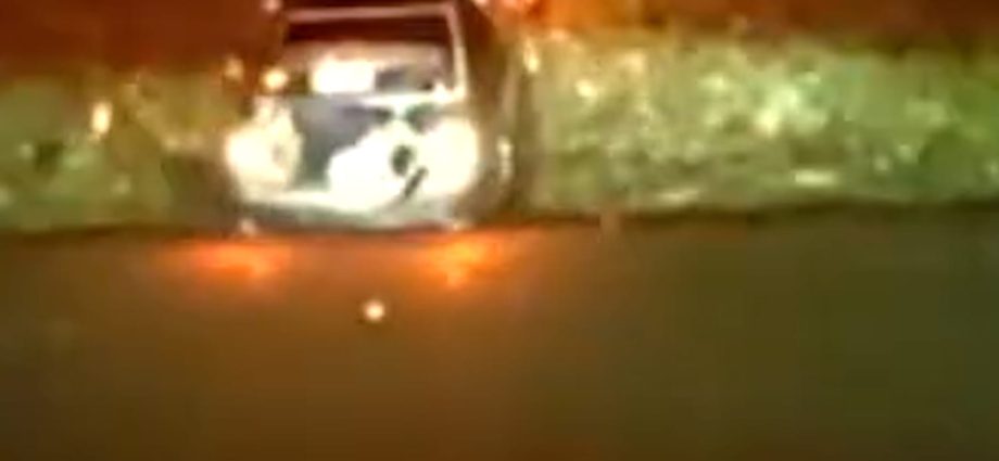 dog-flies-through-car-windshield-after-police-chase