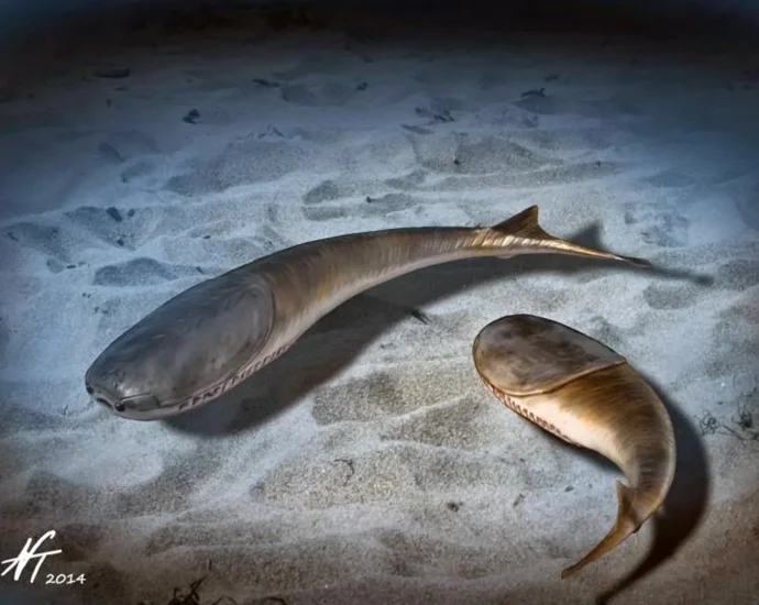 when-the-oceans-died-and-life-changed-forever