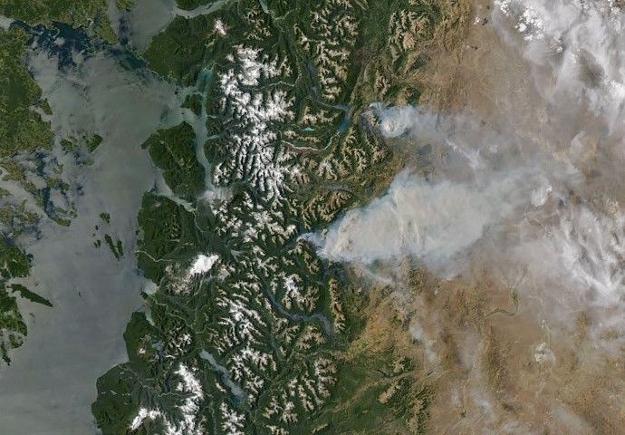 fire-threatens-rare-forests-in-argentina