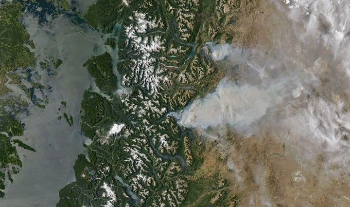 fire-threatens-rare-forests-in-argentina