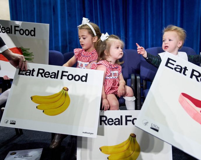 rfk-jr.-flips-the-food-pyramid-on-its-head