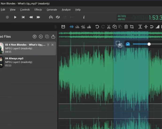 Ocenaudio is an easy cross-platform editor for everyday audio tasks