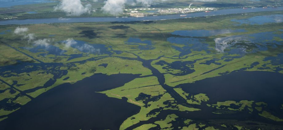 after-losing-a-climate-case-in-a-louisiana-courtroom,-chevron-wants-a-change-of-venue