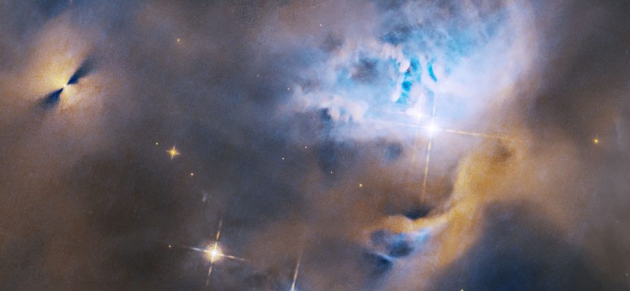 hubble-nets-menagerie-of-young-stellar-objects