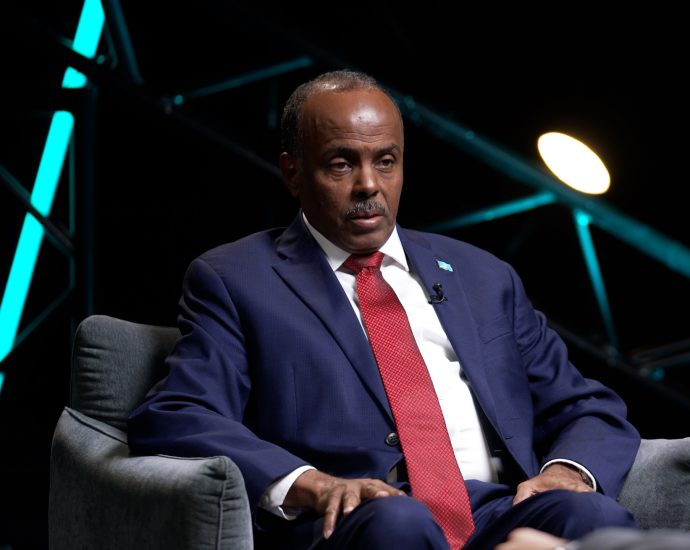 somali-minister-explains-why-uae-‘smuggling’-of-fugitive-was-‘last-straw’