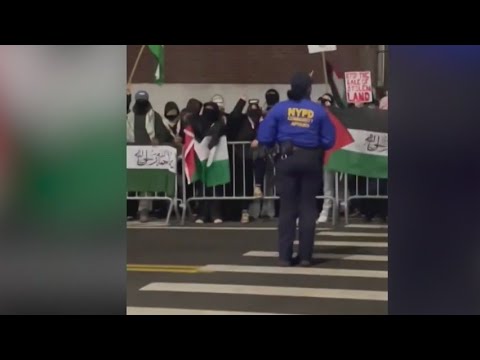 pro-iran-protesters-intended-to-intimidate-jews:-activist-|-elizabeth-vargas-reports