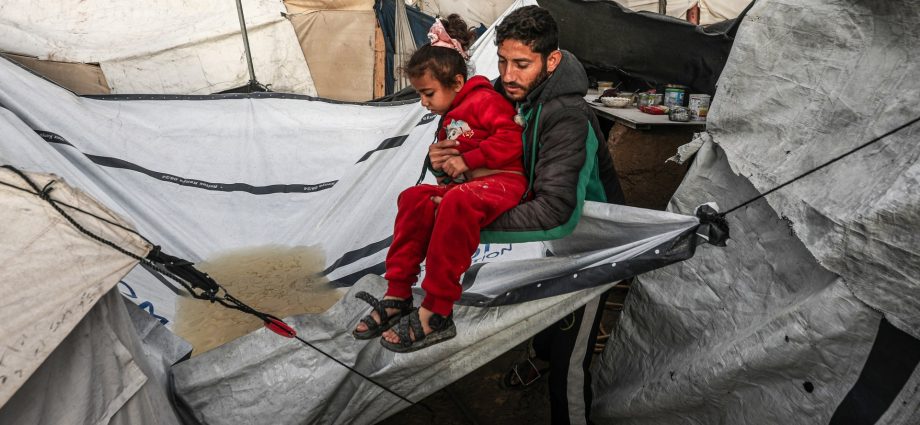 un’s-albanese:-israel-treats-storm-hit-palestinians-of-gaza-as-‘expendable’