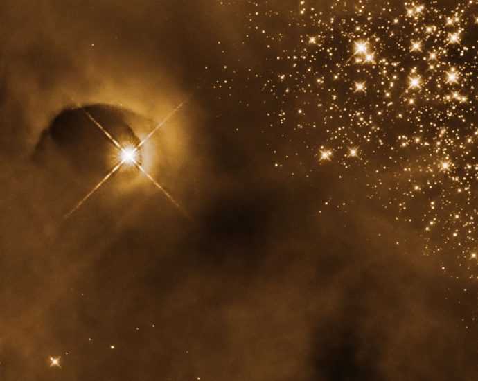 hubble-observes-stars-flaring-to-life-in-orion