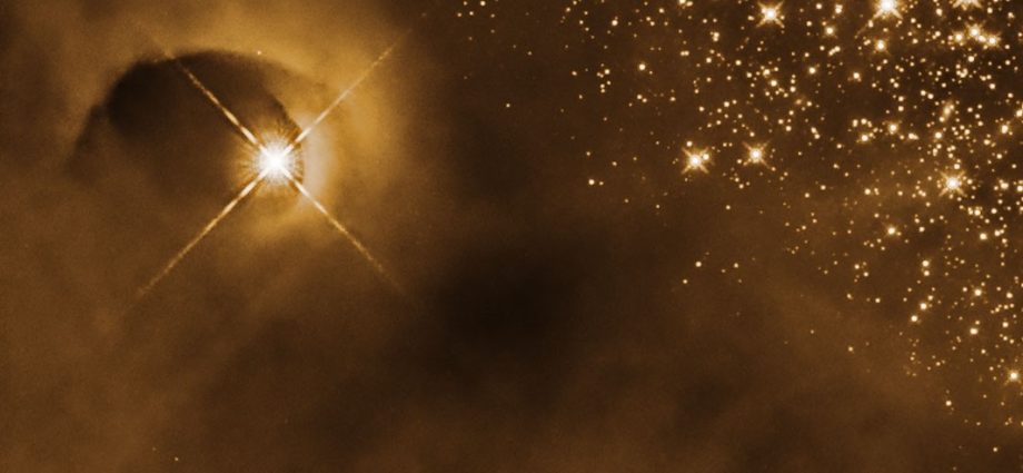 hubble-observes-stars-flaring-to-life-in-orion