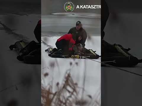 dog-rescued-from-ice-covered-danube-in-budapest