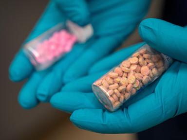 us-overdose-deaths-fell-through-most-of-2025,-federal-data-reveals