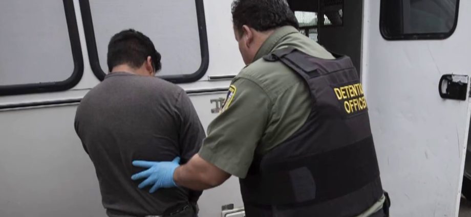 ice-recruitment-error-meant-some-officers-were-sent-out-into-field-without-proper-training,-sources-say