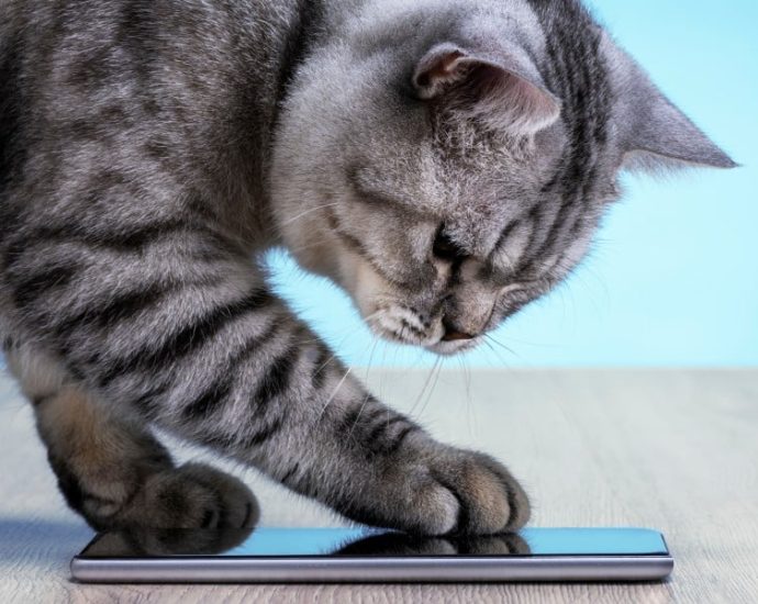 smartphones-face-a-memory-cost-crunch-–-and-buyers-aren’t-in-the-mood