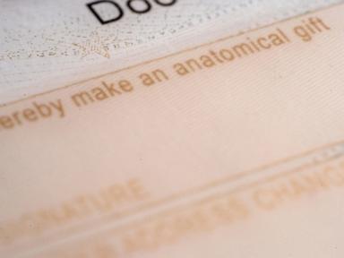 public-mistrust-linked-to-drop-in-deceased-donor-organ-donations-and-kidney-transplants