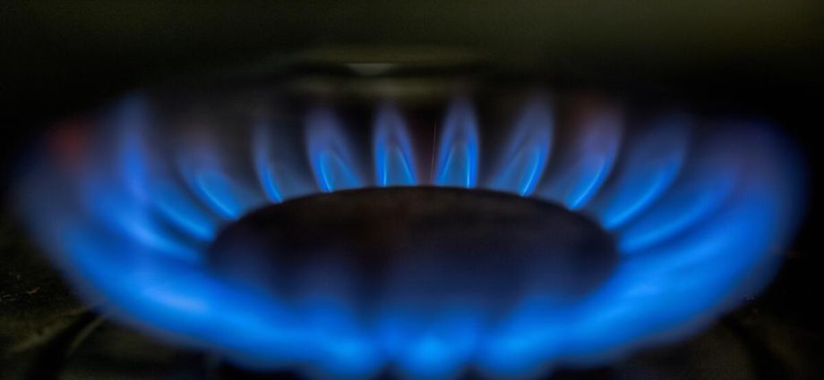 the-traitor-administration-sues-two-california-cities-over-natural-gas-bans