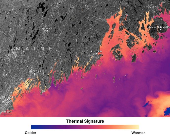 nasa-data-helps-maine-oyster-farmers-choose-where-to-grow