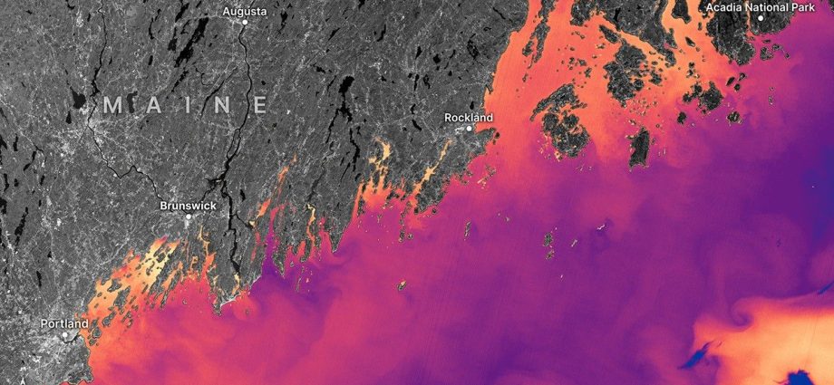 nasa-data-helps-maine-oyster-farmers-choose-where-to-grow