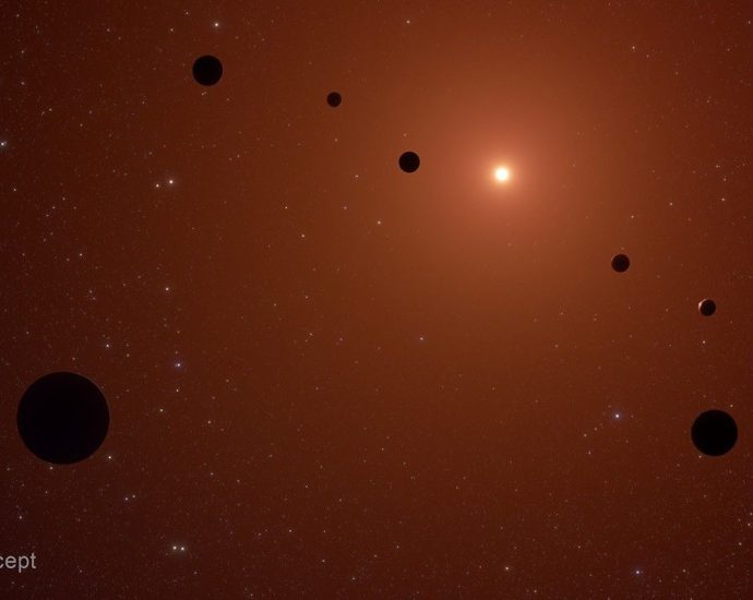 what-is-webb-revealing-about-the-trappist-1-system?