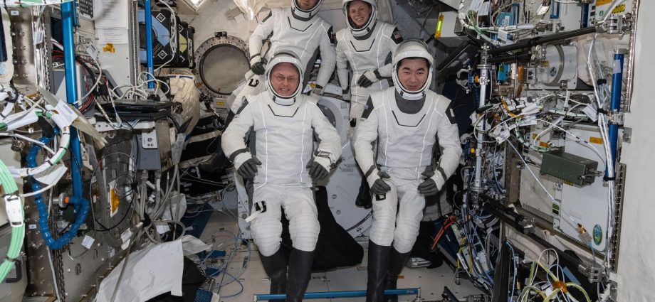 nasa’s-spacex-crew-11-wraps-up-space-station-science