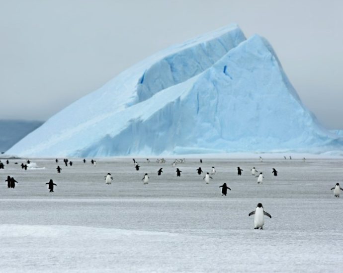 what-lies-beneath:-antarctica-below-the-ice-mapped-for-first-time