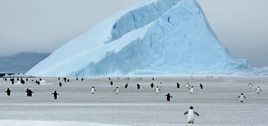 what-lies-beneath:-antarctica-below-the-ice-mapped-for-first-time