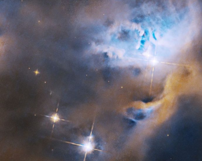 Hubble Telescope sees baby stars hard at work | Space photo of the day for Jan. 16, 2025