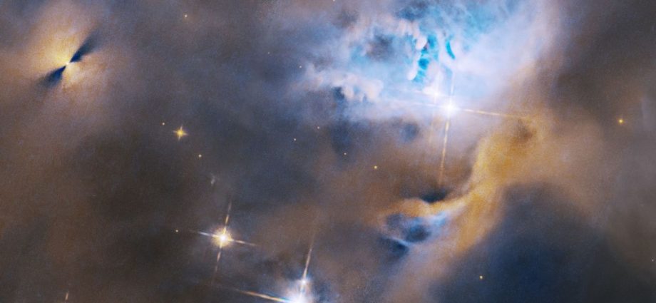 Hubble Telescope sees baby stars hard at work | Space photo of the day for Jan. 16, 2025