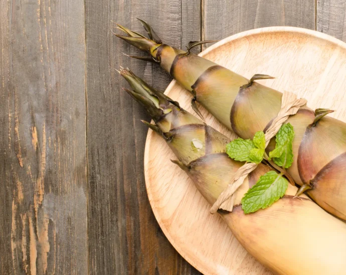 scientists-are-rethinking-bamboo-as-a-powerful-new-superfood
