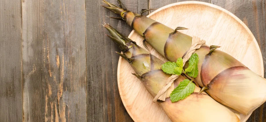 scientists-are-rethinking-bamboo-as-a-powerful-new-superfood