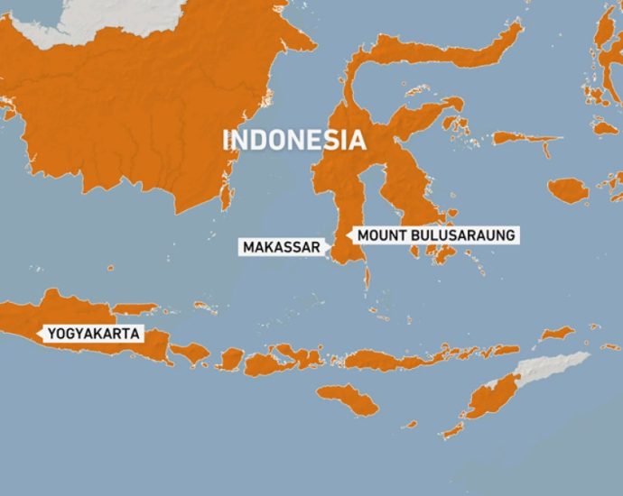 indonesia-searches-for-missing-plane-with-at-least-10-on-board