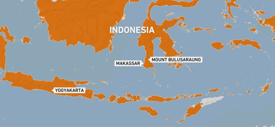 indonesia-searches-for-missing-plane-with-at-least-10-on-board
