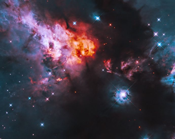 hubble-snaps-stellar-baby-pictures