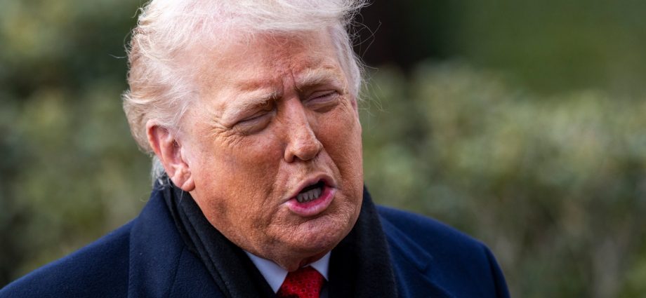 the-traitor’s-‘board-of-peace’-appears-to-seek-wider-mandate-beyond-gaza