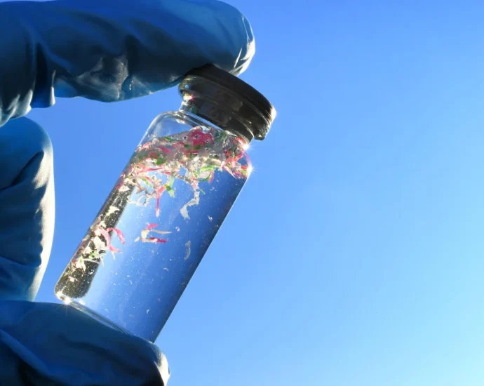 microplastics-are-undermining-the-ocean’s-power-to-absorb-carbon